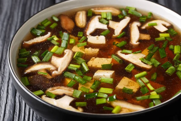 Asiatische Suppe mit Shiitake-Pilzen, Tofu-Käse und grünen Zwiebeln — Stockfoto