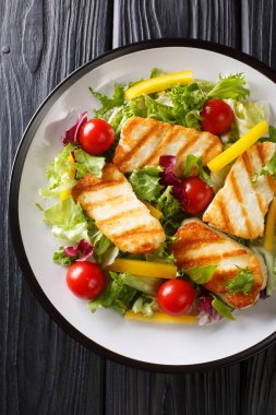 Izgara halloumi peynirli domatesli Akdeniz salatası., 