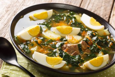 Bahar çorbası ıspanak, patates, havuç, yumurta ve et yakın plan bir kasede masanın üzerinde. yatay