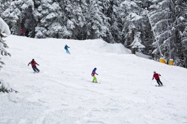 31.12.2016 alp kayak merkezi Borovets'teki, Rila Dağı, Bulgaristan. Kayak pisti, insanlara tepeden aşağı kayak.