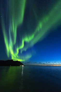 Aurora Borealis, Tungeneset sahilinin kuzey ışıkları, Ersfjord, Senja, Norveç
