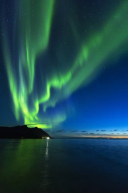 Aurora Borealis, northern lights at Tungeneset beach, Ersfjord, Senja, Norway clipart