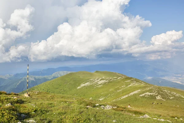Vue panoramique depuis le sommet Vezhen, montagnes des Balkans occidentaux, 2198m de haut . — Photo
