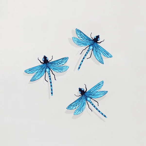 Three Dragonflies — Stock Photo, Image