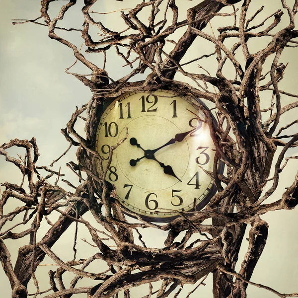 Nature and Time — Stock Photo, Image