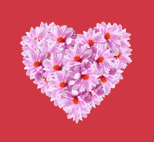 Heart Pink Flowers on Red Background — Stock Photo, Image
