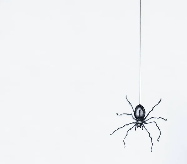 在黑色中国画的黑色蜘蛛剪影在白色板料背景被隔绝的垂悬的图 图库照片