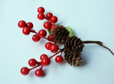 Hawthorn Sprig With Red Berries and Pine Cones
