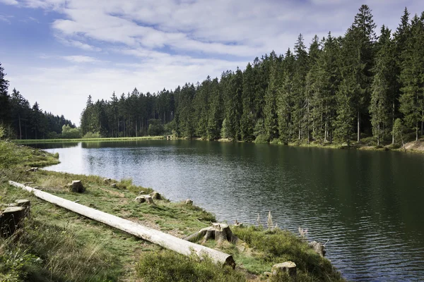 Příroda v harz oblasti Německo — Stock fotografie