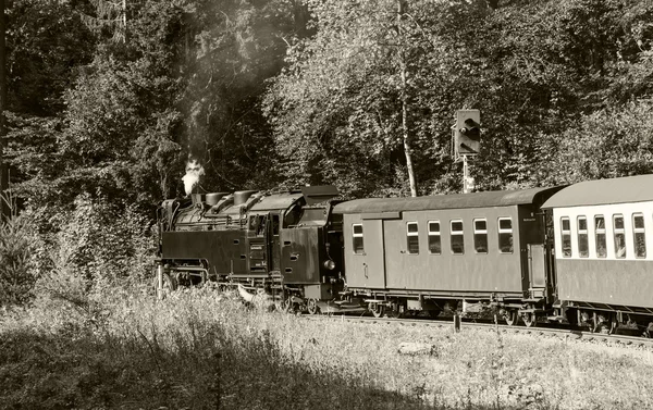 Machine à vapeur à écartement étroit de Brocken à Werningerode — Photo