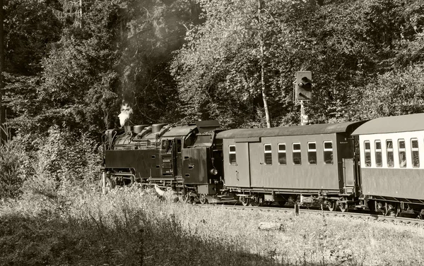 窄轨蒸汽引擎从布罗肯到 Werningerode — 图库照片