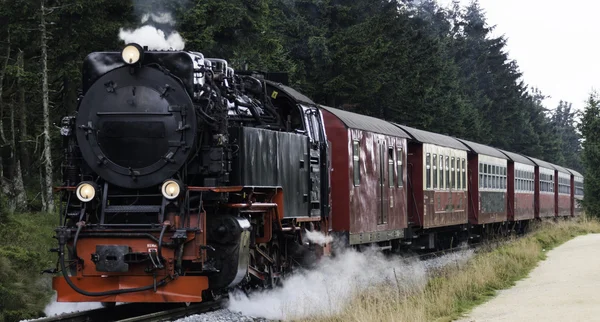 Trem a vapor a partir da estação brocken im Harz — Fotografia de Stock