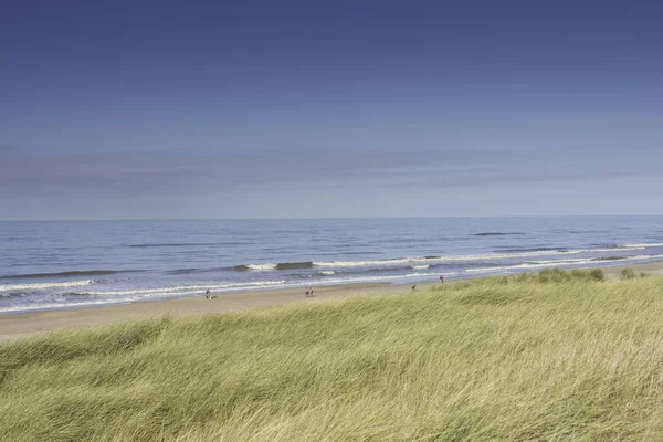 Människor går på stranden i holland — Stockfoto