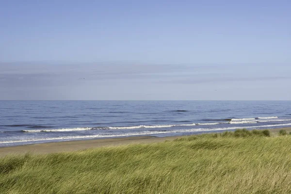 Sanddynerna och havet i holland — Stockfoto
