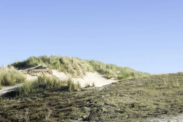 Dunas de arena holandesa —  Fotos de Stock