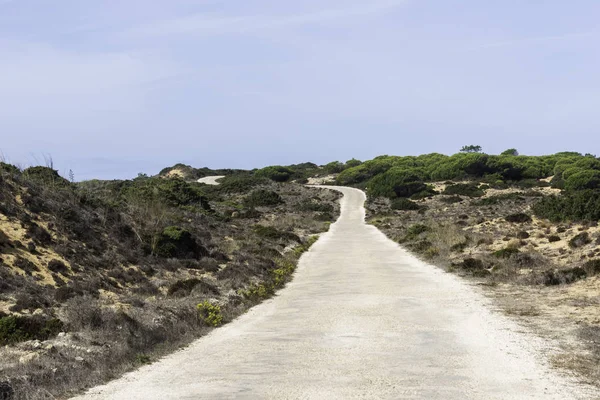 Camino vacío en portugal —  Fotos de Stock