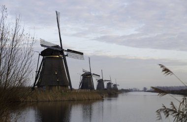 Doğal Holland'daki yel değirmenleri