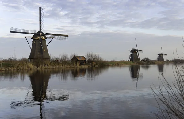 Kinderdijk 네덜란드 풍차 — 스톡 사진