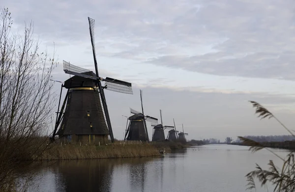 Molinos de viento en Kinderdijk Holanda —  Fotos de Stock