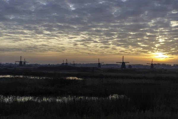 Doğal Holland'daki yel değirmenleri — Stok fotoğraf