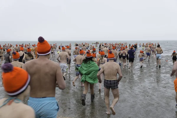 New years dive 2017 — Stock Photo, Image