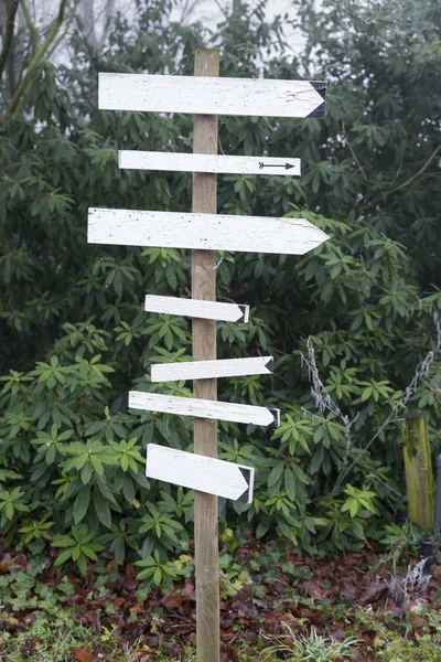 Bouclier de direction dans la forêt — Photo