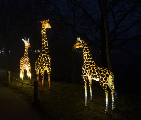 Żyrafa, wykonane z papieru i światła — Zdjęcie stockowe