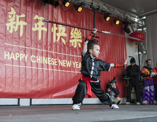 Kung-Fu-Demonstration — Stockfoto