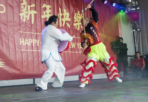 Kung-Fu-Demonstration — Stockfoto