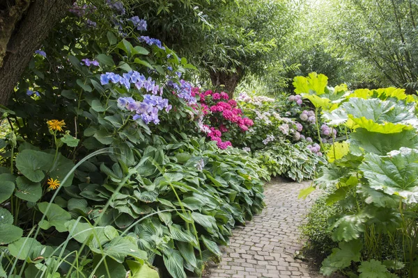 Anglická zahrada s květinami — Stock fotografie