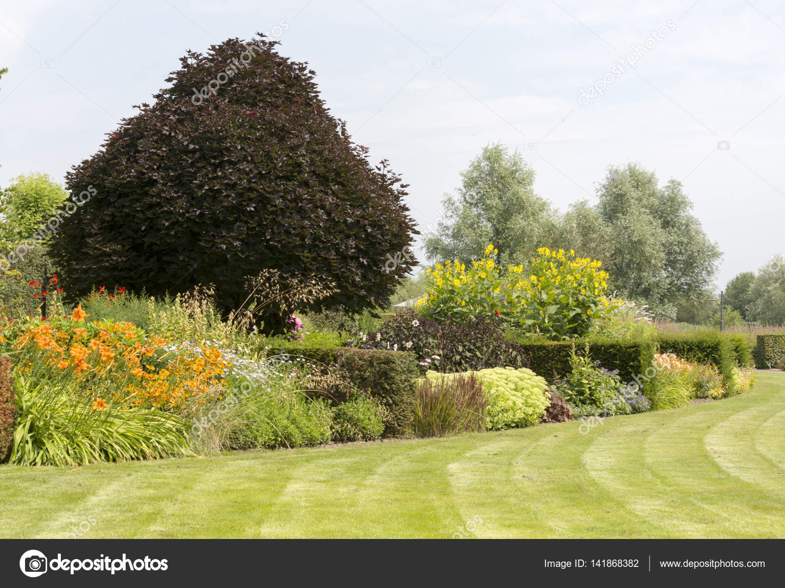 Grosser Garten Mit Pflanzen Und Blumen Stockfoto C Compuinfoto