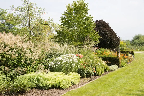 Gran jardín con plantas y flores — Foto de Stock