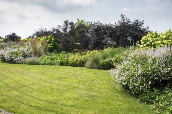 Grande jardim com plantas e flores — Fotografia de Stock