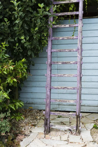 old ladder in garden