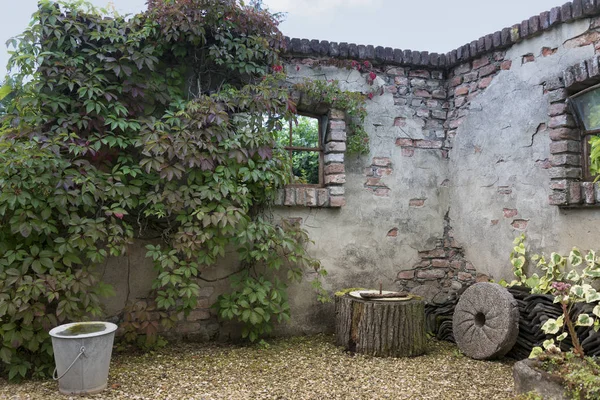 Jardim com parede velha e flores — Fotografia de Stock