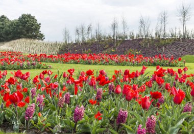Lisse keukenhof