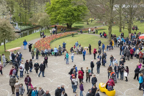 Mensen lopen in de keukenhof — Stockfoto