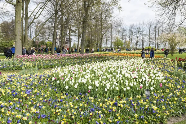 People walking in the keukenhof — Stock Photo, Image