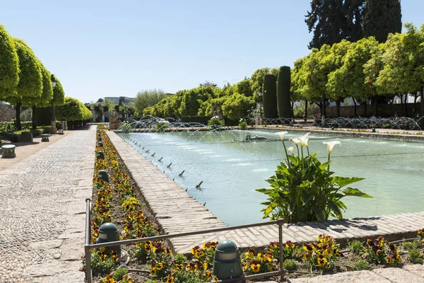 Gardens with fountains in alcazar cordoba — Stock Photo, Image