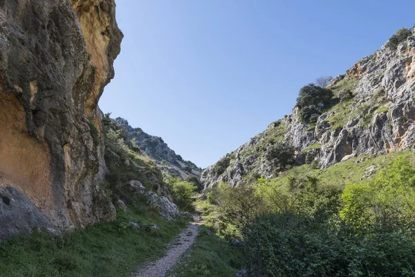 Природный парк Sierras subbticas в Андалусии — стоковое фото