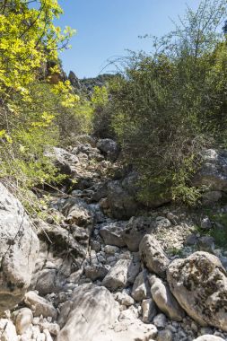 Çakıl taşları ve analusia taşları ile kuru nehir yatağı