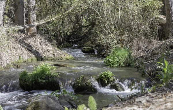 Cascada en las montañas de andalusia —  Fotos de Stock