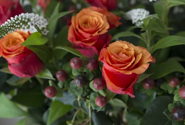 Rosa rossa in fiore bouquest — Foto Stock
