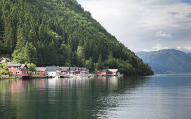  Sognefjord Vik görüldü