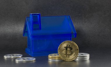 litecoin ve bitcoin siyah arka plan üzerine evleriyle