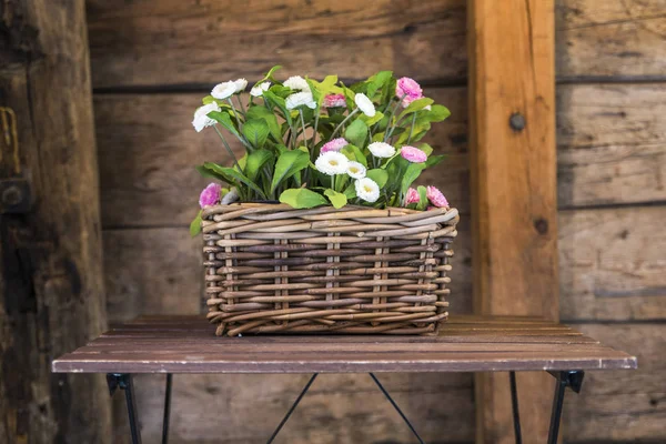 Cesta de vime com flores em rosa e branco — Fotografia de Stock