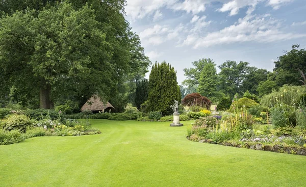 Big park with plants green field — Stock Photo, Image