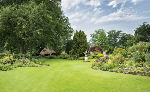 большой парк с растениями зеленого поля