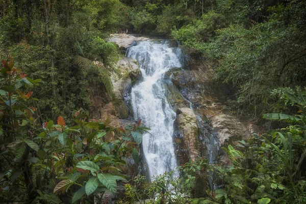 Waterfall in cameroun highlands — Stock Photo, Image