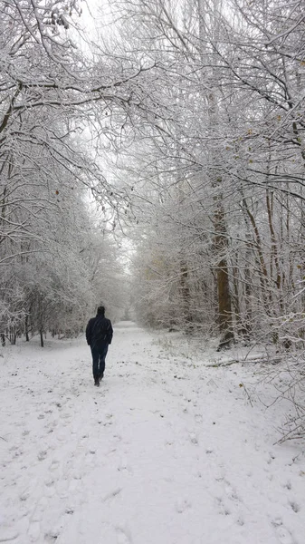 Man walking in the snow forest — Stock Photo, Image